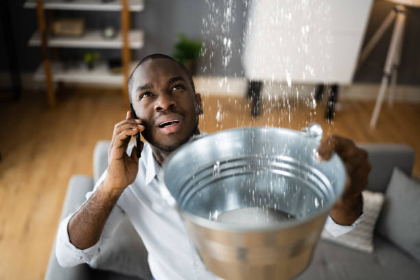 Best 24/7 water damage repair  in Owensboro, KY