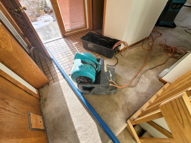 Best Water damage restoration company  in Owensboro, KY