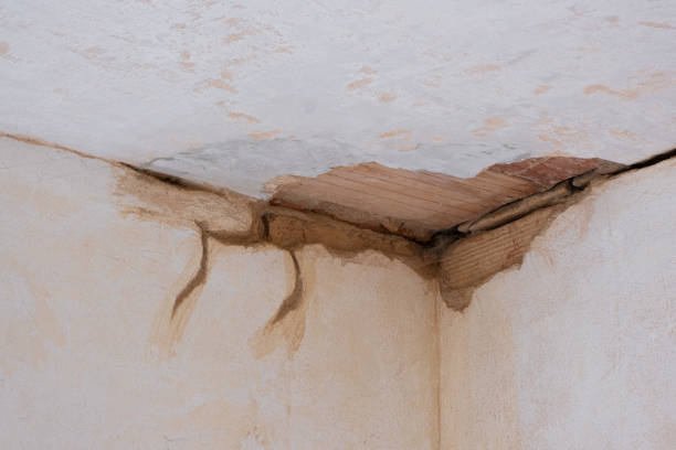 Professional Water damage restoration in KY