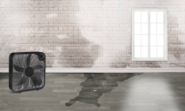 Best Water damage restoration near me  in Owensboro, KY