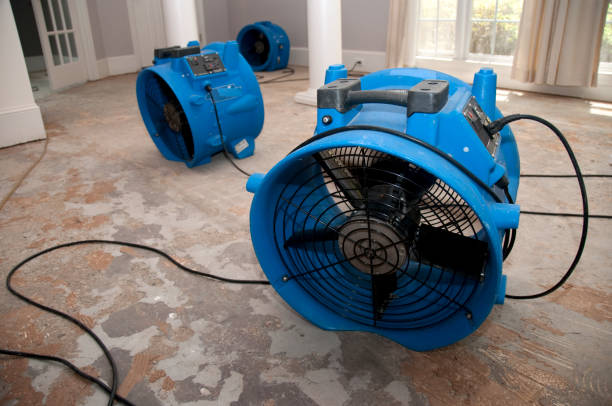 Best Water damage restoration experts  in Owensboro, KY