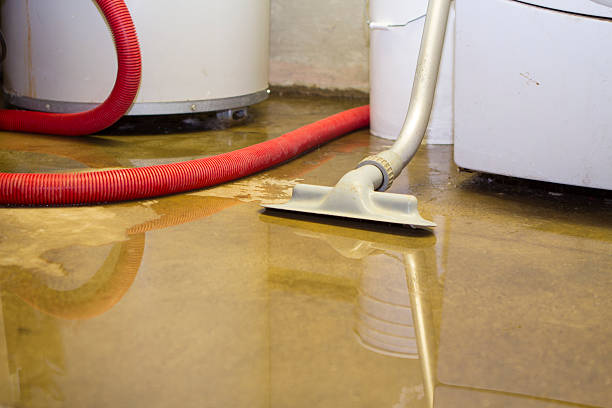 Best Ceiling water damage repair  in Owensboro, KY