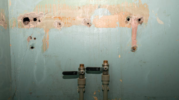 Best Flooded house restoration  in Owensboro, KY