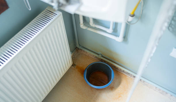 Best Flood restoration services  in Owensboro, KY