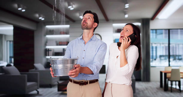 Best Fire Damage Restoration  in Owensboro, KY